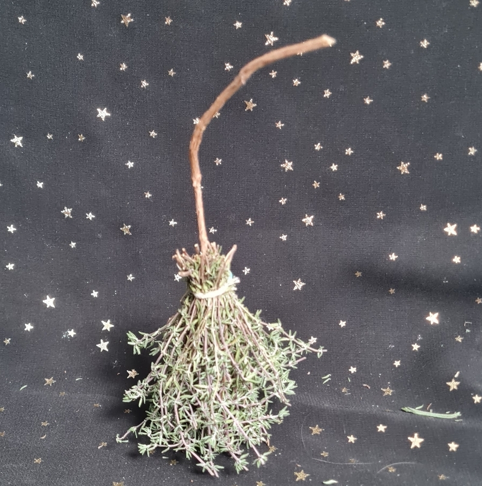 Mini Lemon Thyme Besom Broom - Picture 4 of 5